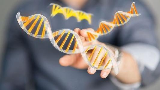 江西萍乡静脉血DNA鉴定需要多少钱？如何选择靠谱的基因检测机构？