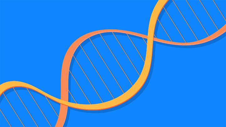 云南红河精斑DNA鉴定机构：让你的基因告诉你自己的故事