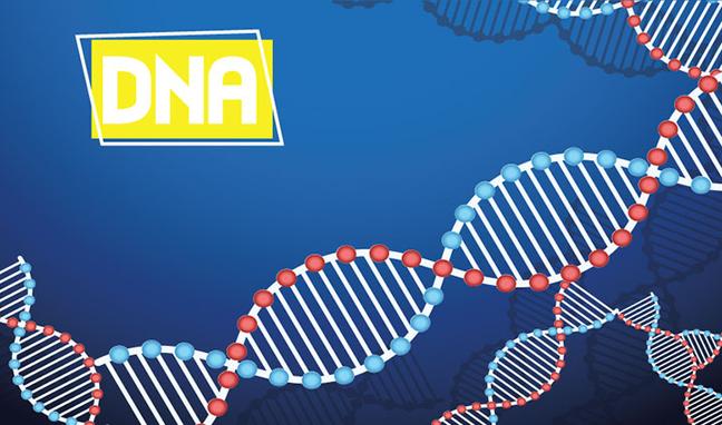 山东滨州精斑DNA鉴定需要什么样本