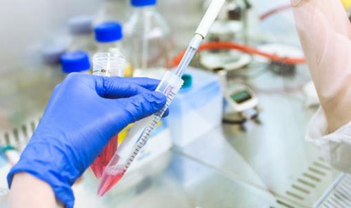 广东茂名血液血痕DNA鉴定费用多少？如何选择优质检测机构？