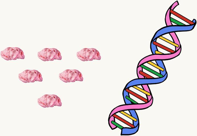 山西长治骨骼DNA鉴定丨寻找基因密码
