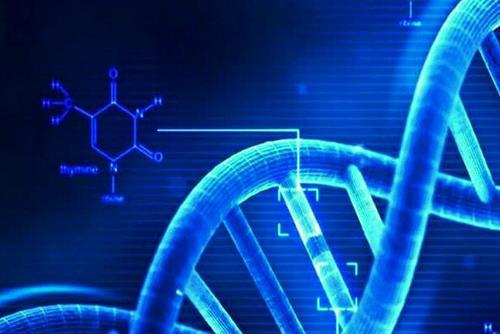 四川德阳精斑DNA鉴定地址电话查询，了解你的基因密码