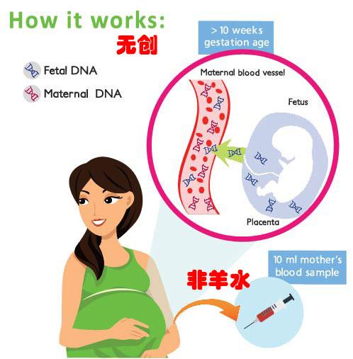 口腔拭子DNA鉴定价格范围，你了解吗？