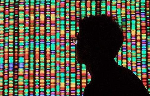 陕西延安指甲DNA鉴定去哪里做专业？探究无忧鉴定网的优势