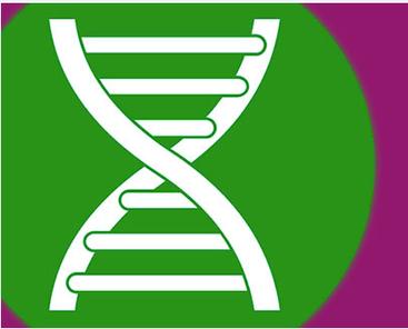湖南长沙非婚生子DNA鉴定机构：如何选择最可靠的亲子鉴定服务？