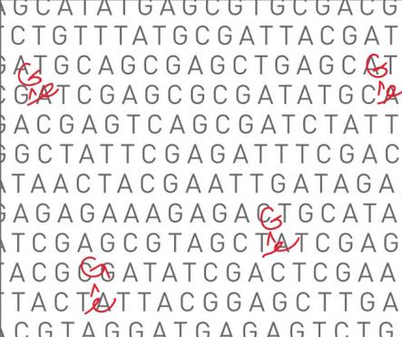 【2021年更新】甘肃酒泉DNA鉴定一般多少钱一次？你需要知道的一切！