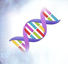 吉林白山DNA鉴定去哪家？这里是最佳选择！