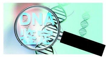 吉林长春偷偷做DNA鉴定哪几家比较权威？如何选择可靠的DNA检测机构？