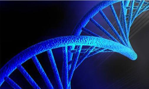 甘肃酒泉DNA鉴定地址电话查询：为什么要进行DNA检测？